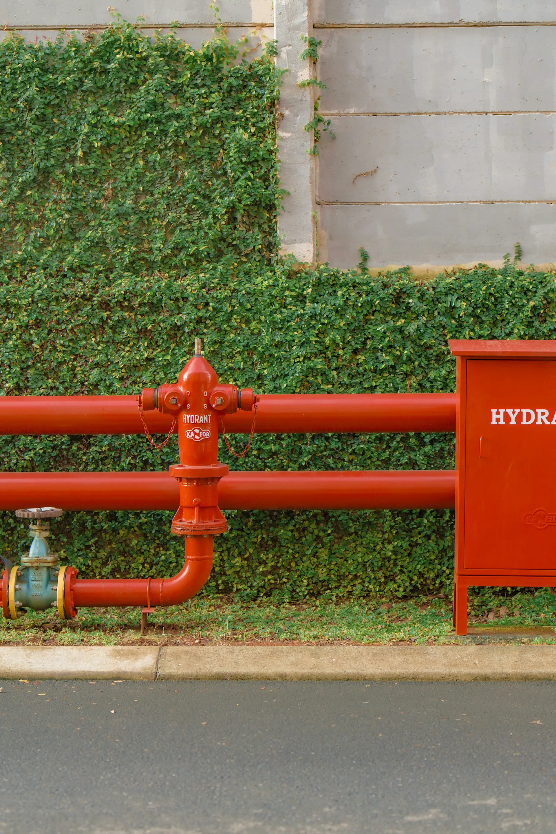 Red fire hydrant against a green ivy-covered wall, showcasing fire safety infrastructure